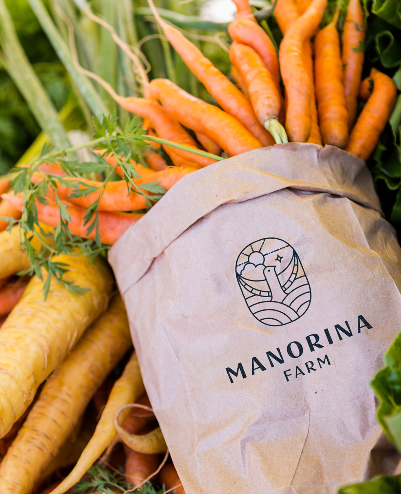 ALTR-ManorinaFarm-12