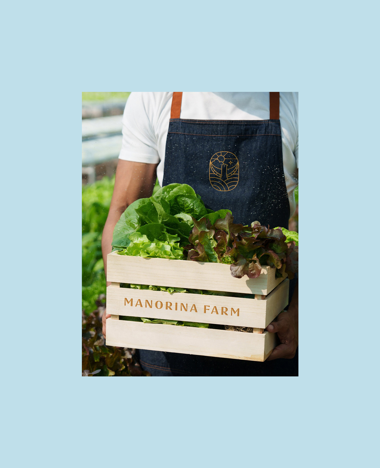 ALTR-ManorinaFarm-13