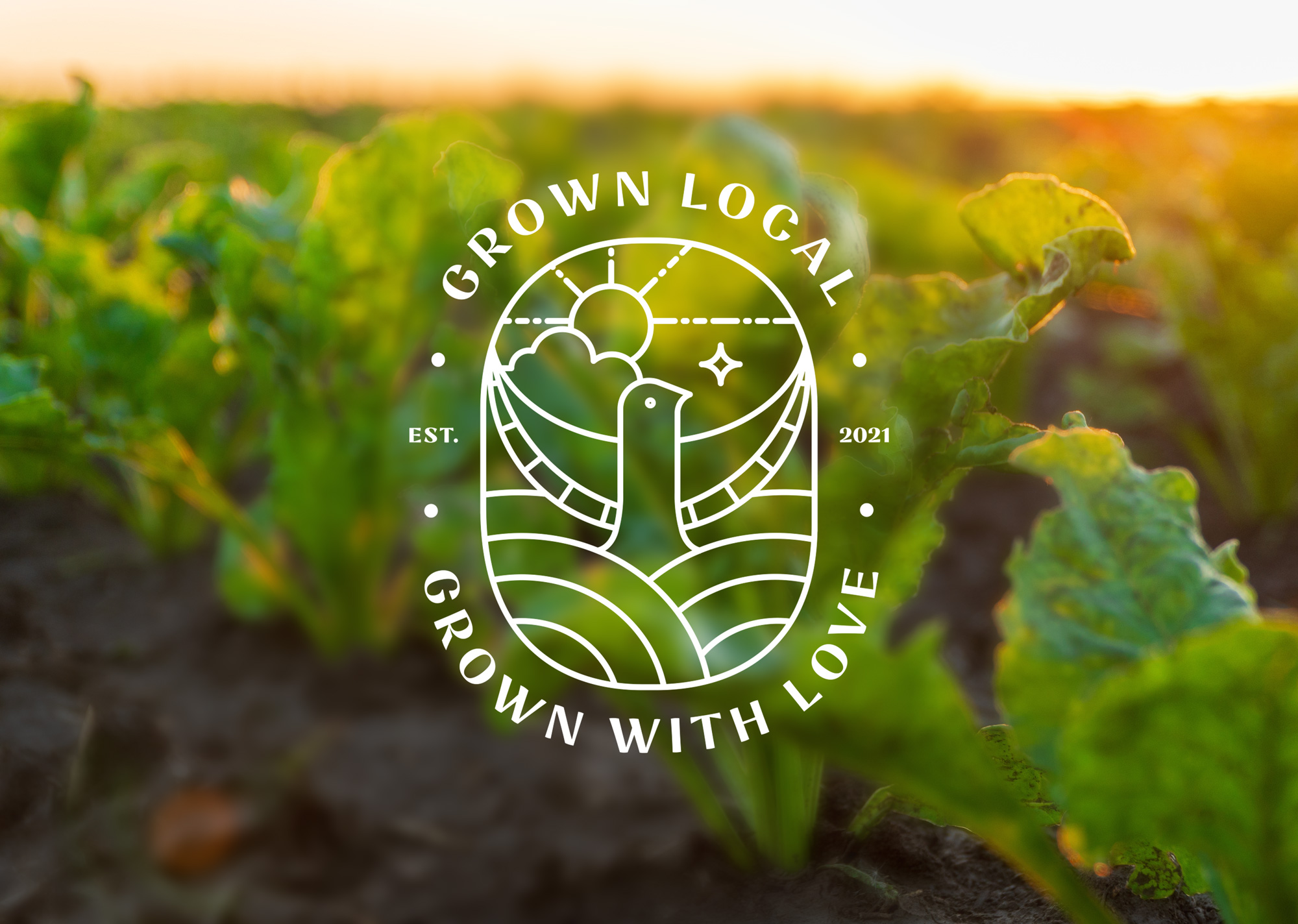 ALTR-ManorinaFarm-14