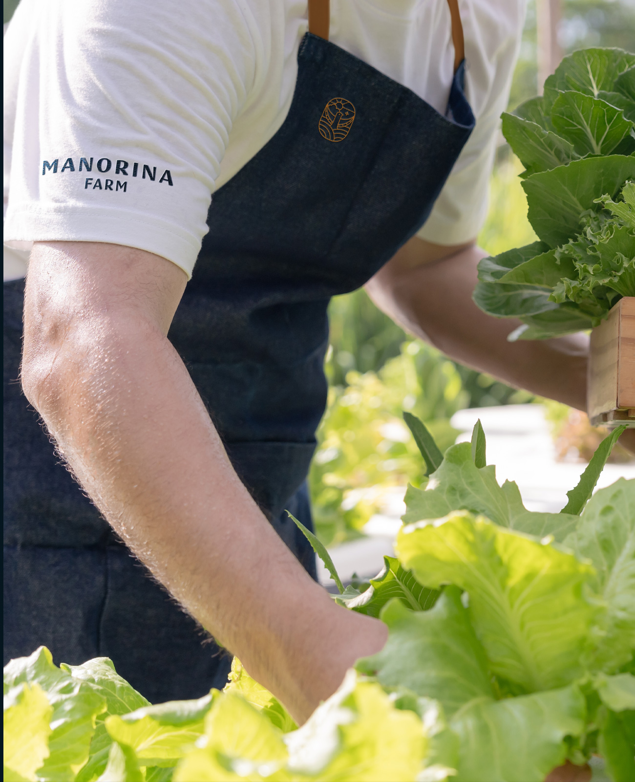 ALTR-ManorinaFarm-16b